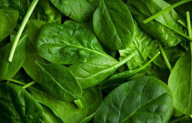 benefits of spinach juice pinkstea 1
