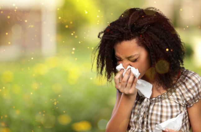 Dust allergy treatment in ayurveda